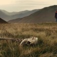 Sightseers is a dark, dark comedy that manages to pull itoff without turning into a genre exploitation film, and therein lies its eccentric success.