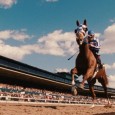 More than just a true story with an underdog theme, Secretariat is a feel good film and highly inspirational from the get-go. 