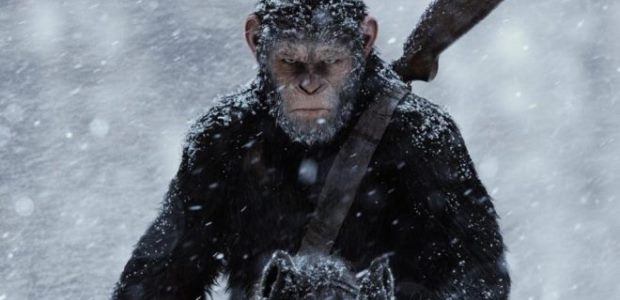 War is a terrific yet atypical blockbuster and a fitting swansong to the Apes trilogy.